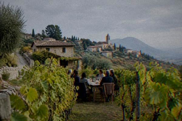 A small group tasting white wine at a long table between rows of grapevines on a low volcanic hill, a stone farmhouse behind, Arqua Petrarca