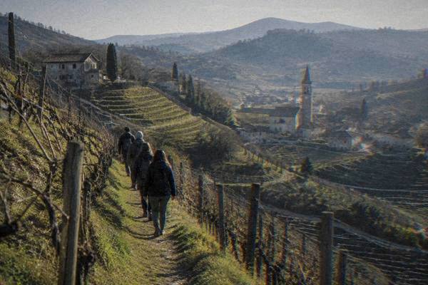 A small group walking a narrow ridge path between steep rows of grapevines on terraced hills, a village church tower in the valley, Valdobbiadene