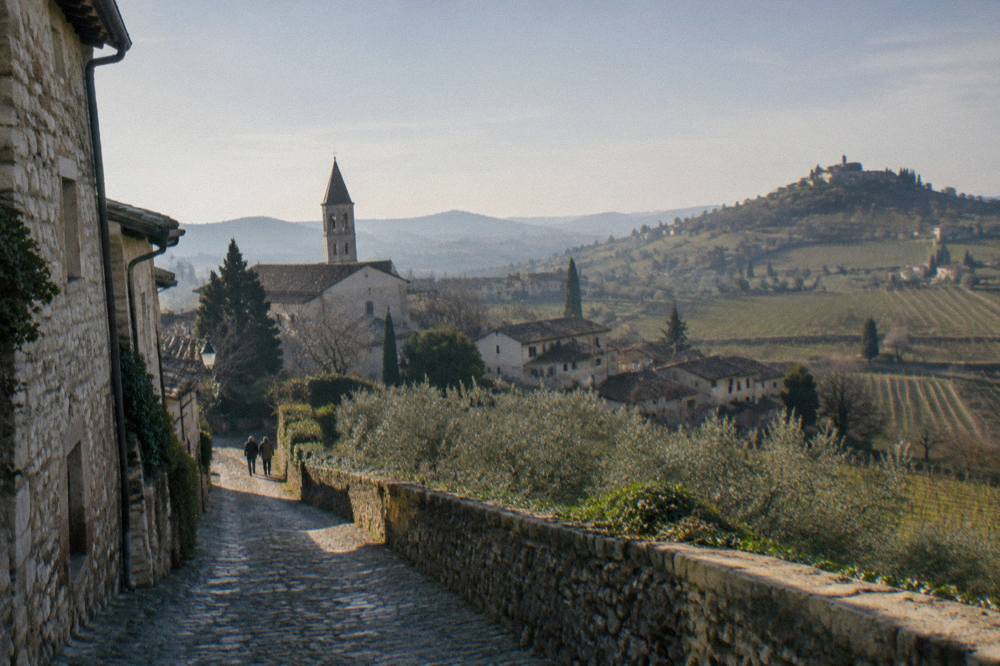 Vineyard-covered hills in the Veneto countryside with a small hilltop village in the distance