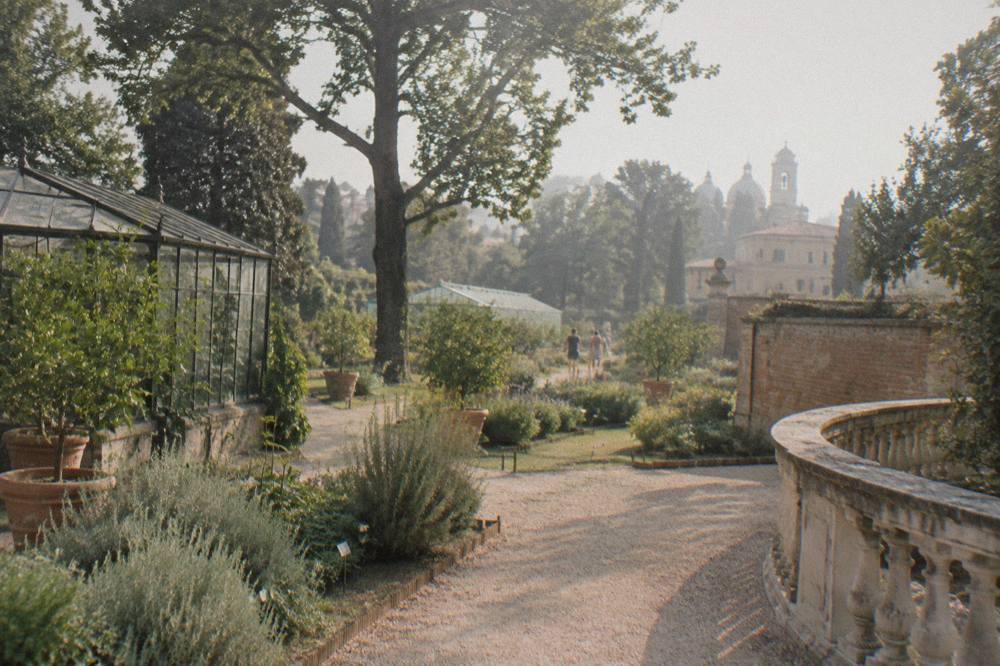 Sunlit garden paths and historic brick walls of Padua's botanical garden