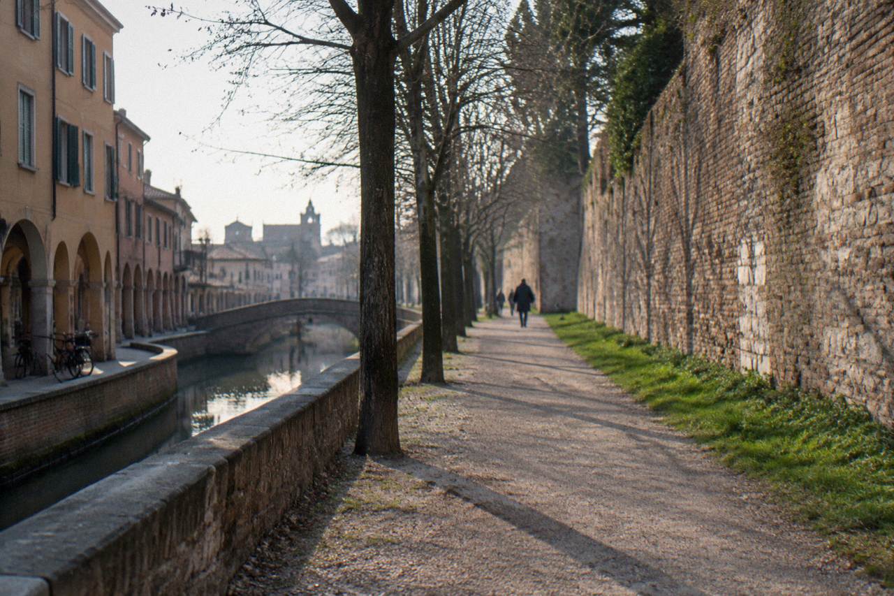 An old stone city wall with grass growing along its base, with trees and a path beside it in Padua