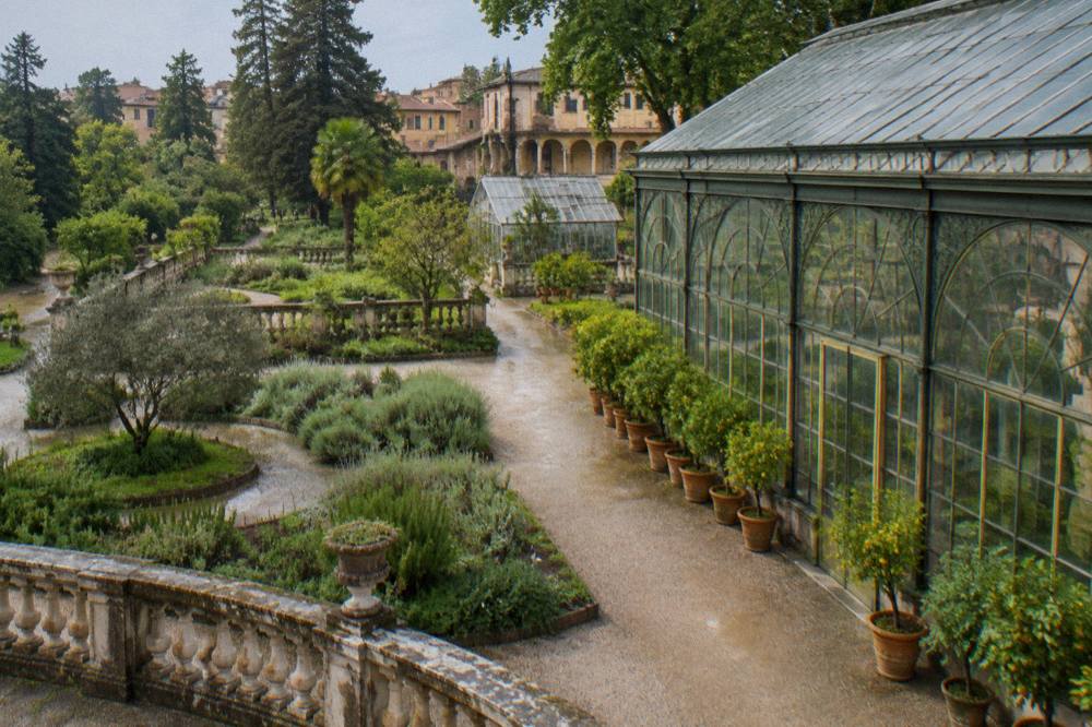 An iron and glass greenhouse facade with potted citrus trees lined up outside