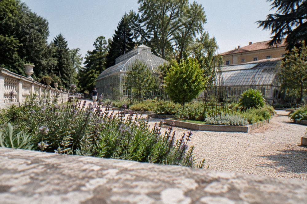 The green garden of the Orto Botanico with historic greenhouses and Gothic-style plant beds