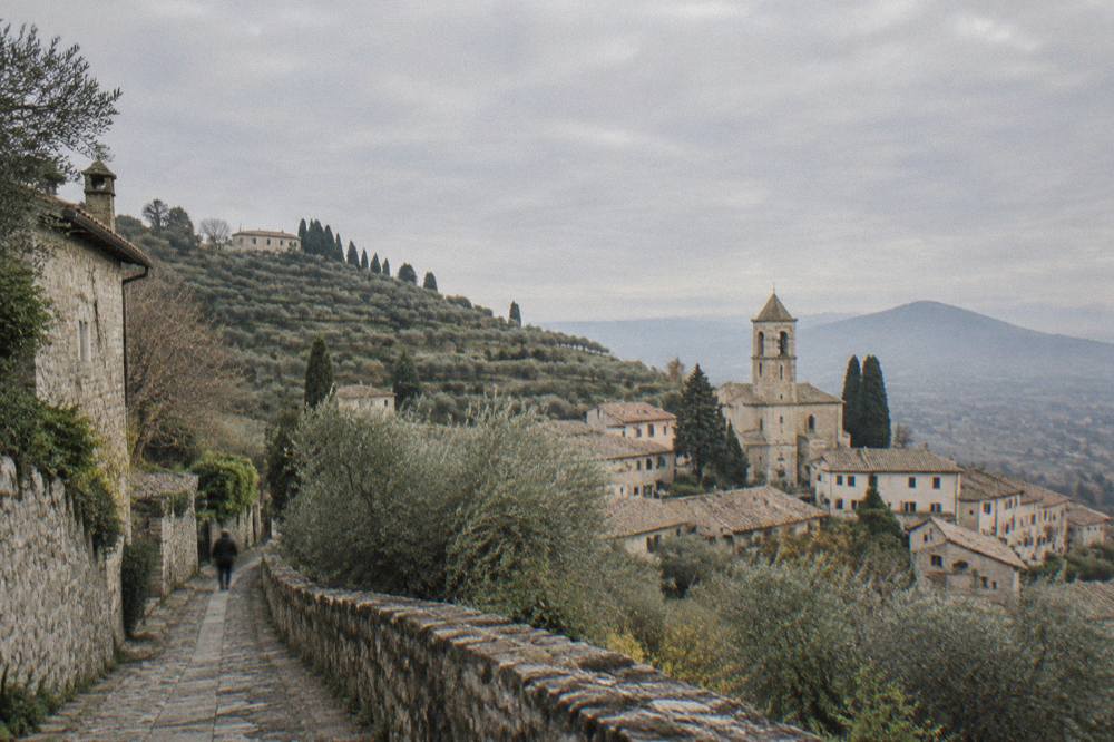 Terraced olive groves on a hillside above a cluster of stone rooftops