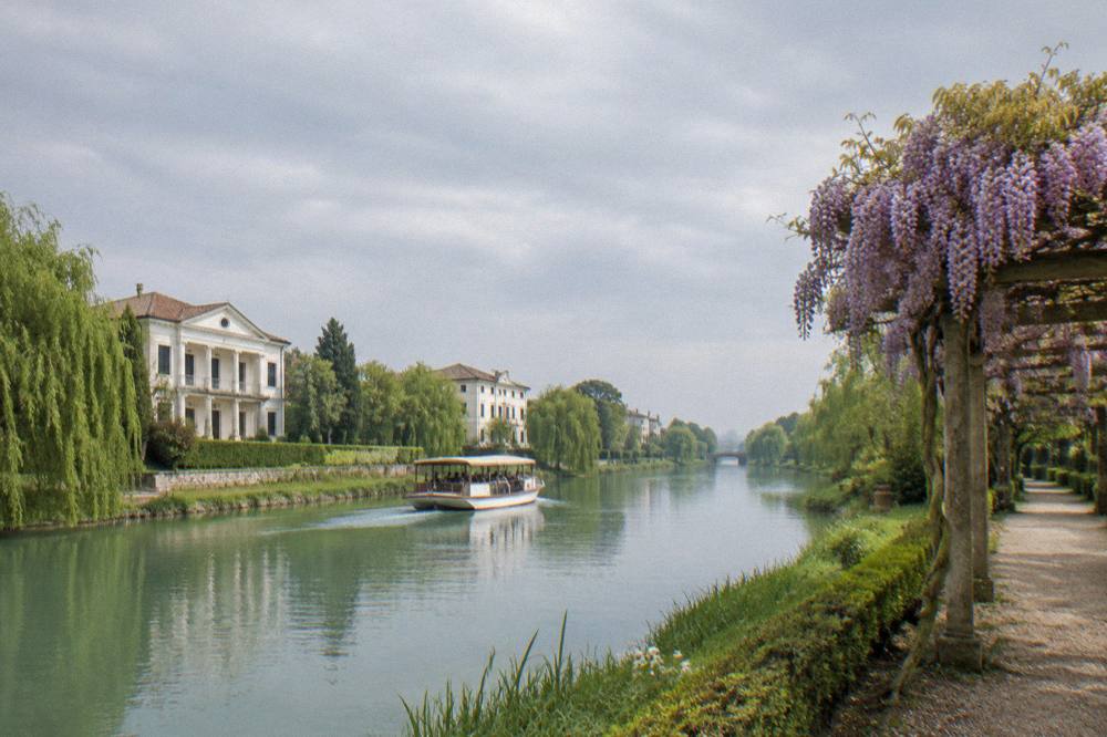 Wisteria in flower draped over a pergola beside a canal-side garden path