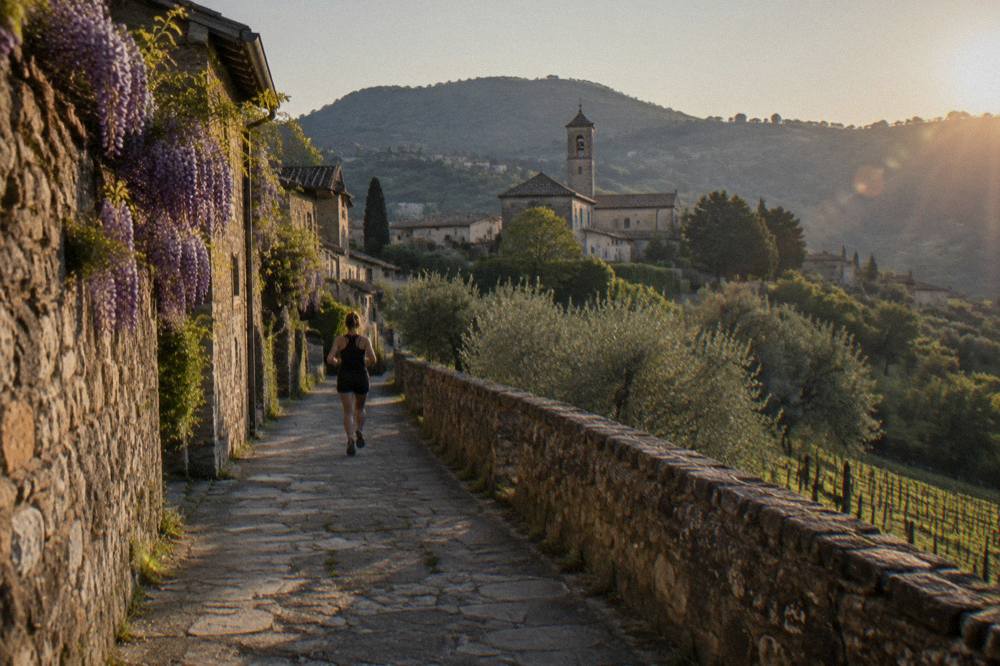 Wisteria-covered hills above a vineyard road in the Euganean Hills south of Padua