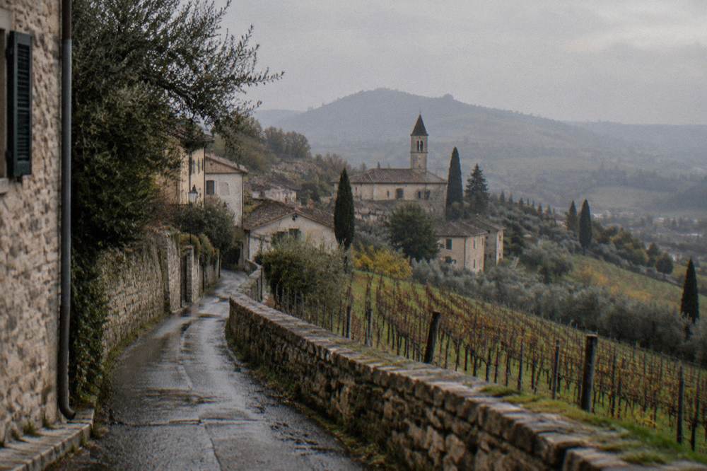 A narrow country road winding between vineyards on a hillside