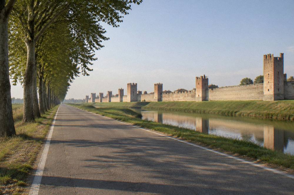 Empty country road lined with trees leading toward Montagnana's distant towers