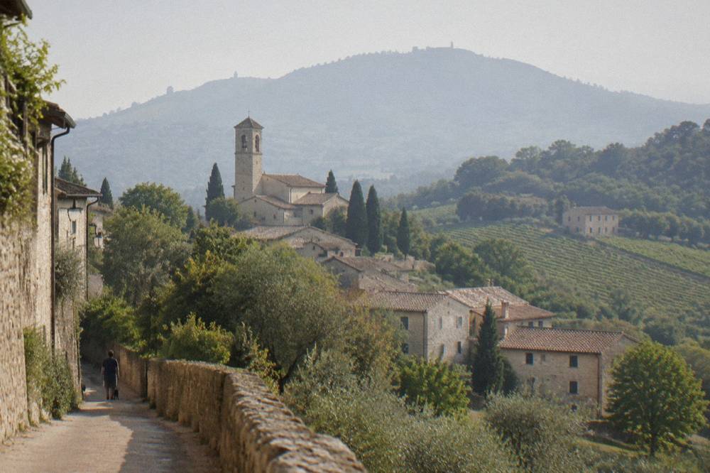 Terraced hillside vineyard rows with a stone farmhouse among wooded Euganean slopes