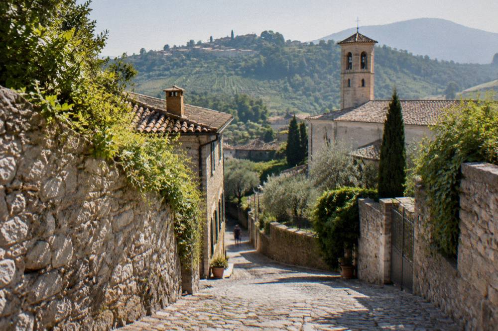 Wooded hill slopes with vineyard rows and a small stone village in the distance