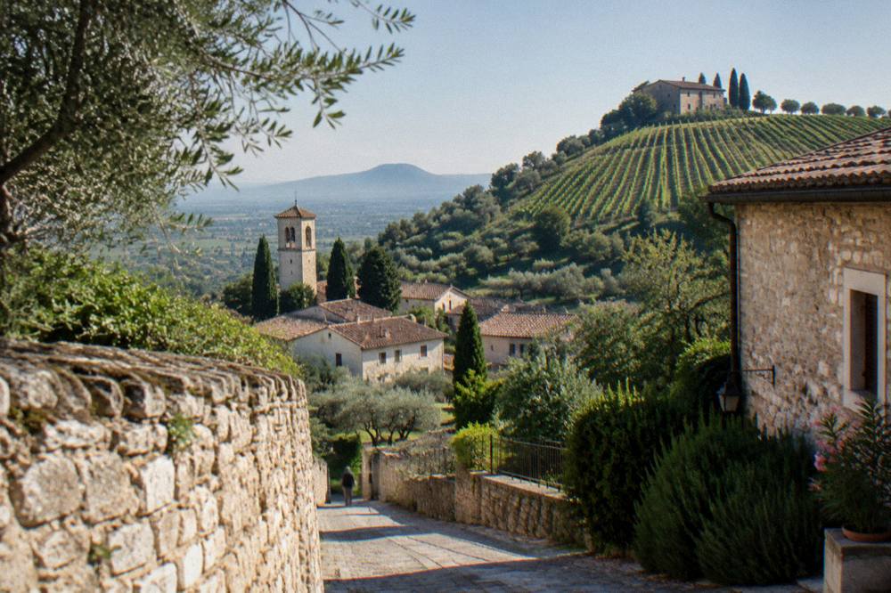 Rows of grapevines on a hillside with a stone farmhouse at the top of the slope