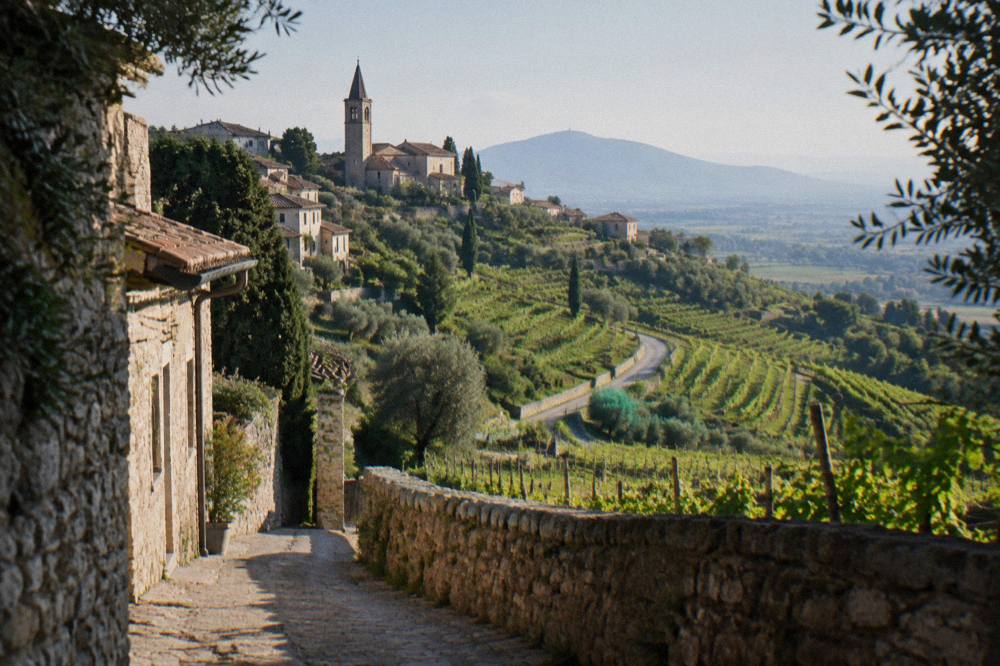 A narrow country road curving between terraced prosecco vineyards on a steep hillside