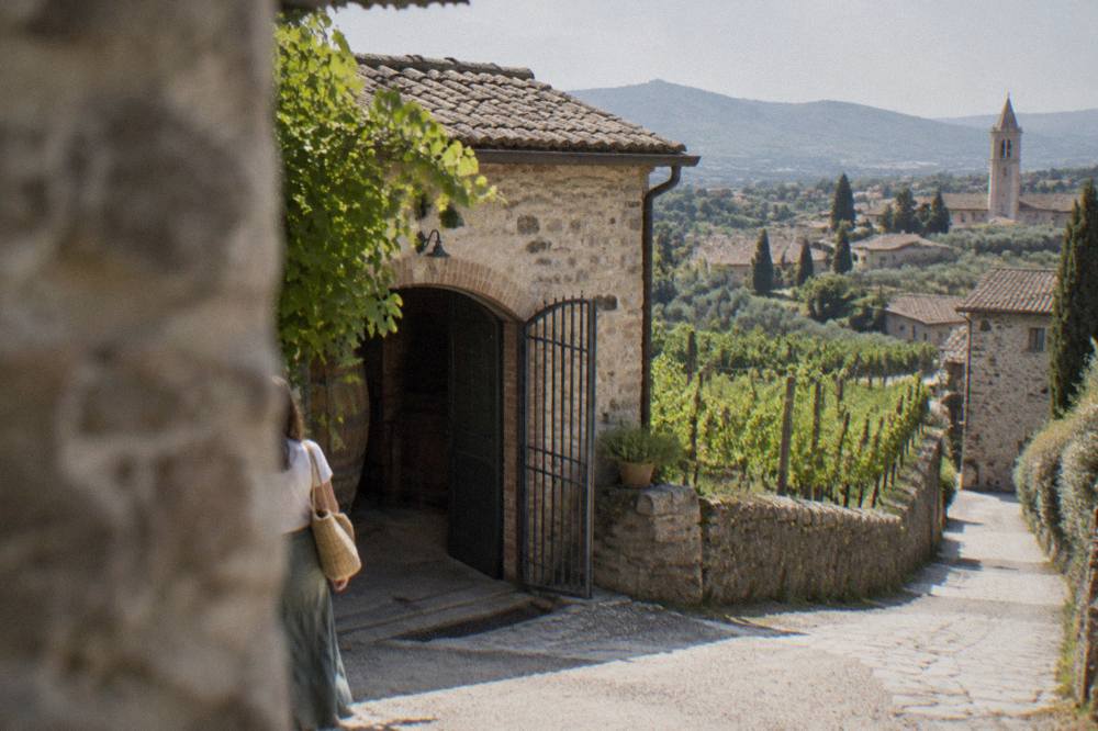 A stone farmhouse cellar door with an open gate at the edge of a prosecco vineyard
