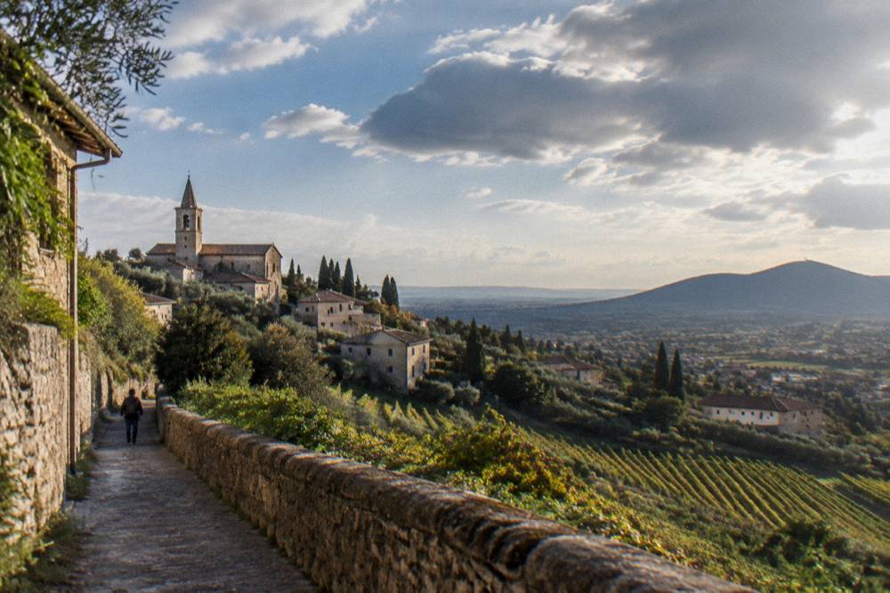 Late afternoon light over striped vineyard rows descending towards a valley village