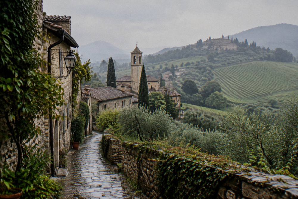 Vineyard rows on green rolling hills with a small hilltop village