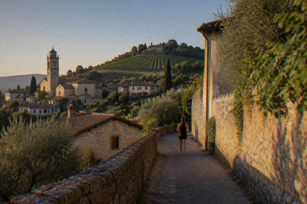 Rows of vines on gentle hills with a village in the haze