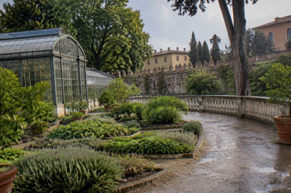 The botanical garden of Padua with its historic Gothic wall and green parterres