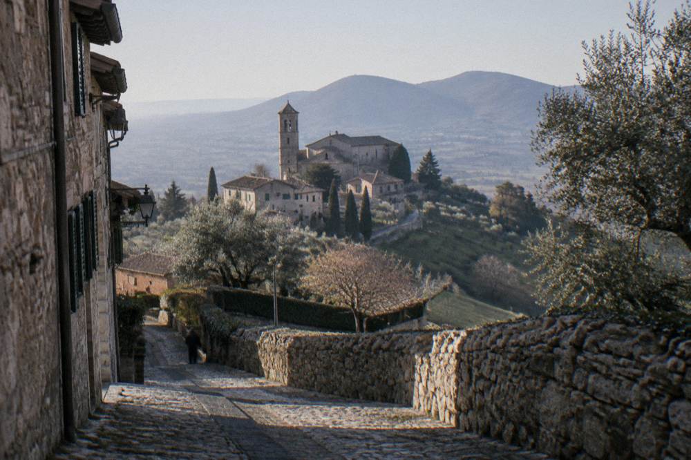 A country road winding through the Euganean Hills south of Padua