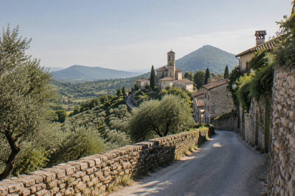 A narrow country road winding between wooded hills in the Euganean Hills