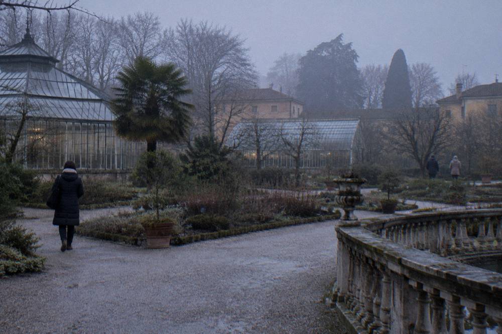 A winter garden with bare trees, greenhouses and gravel paths inside a botanical garden