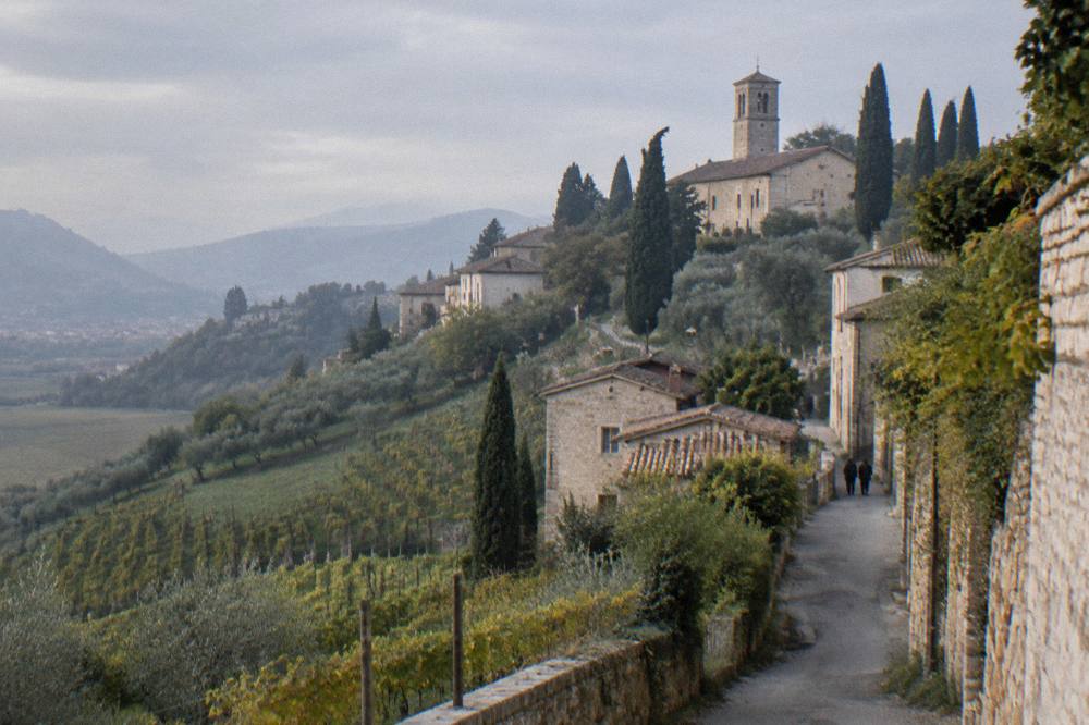 A hillside village of stone houses and cypress trees above vineyards in the Euganean Hills