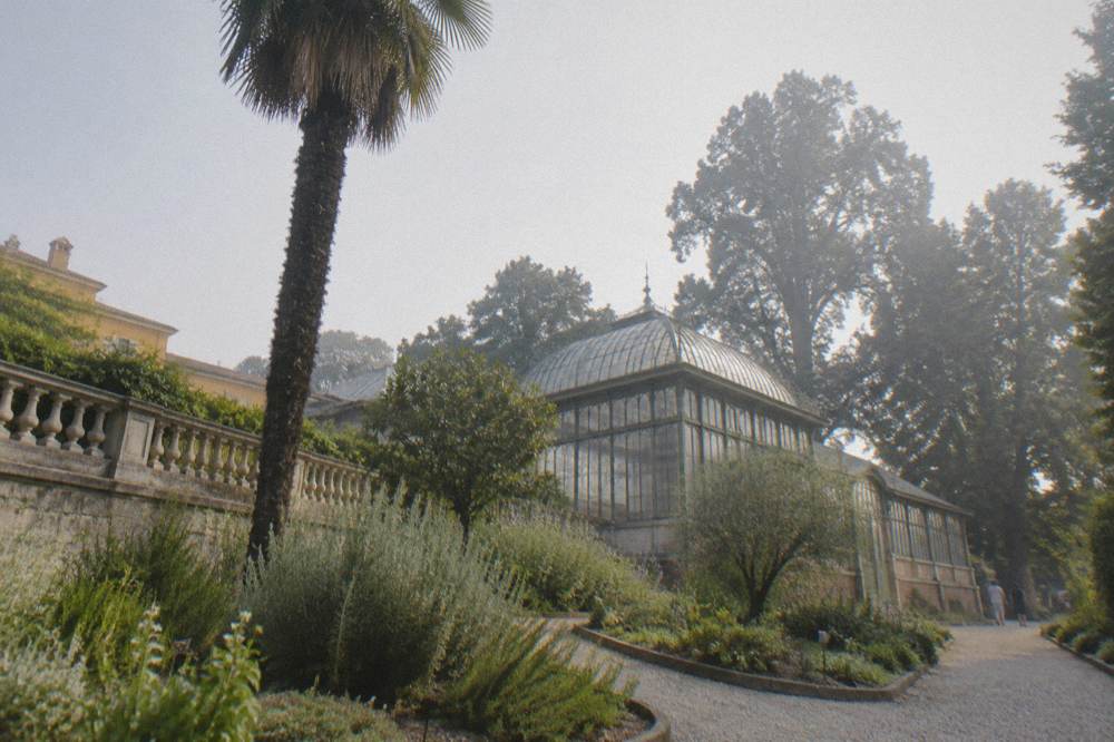 Historic botanical garden with palm trunk, greenhouse and gravel paths