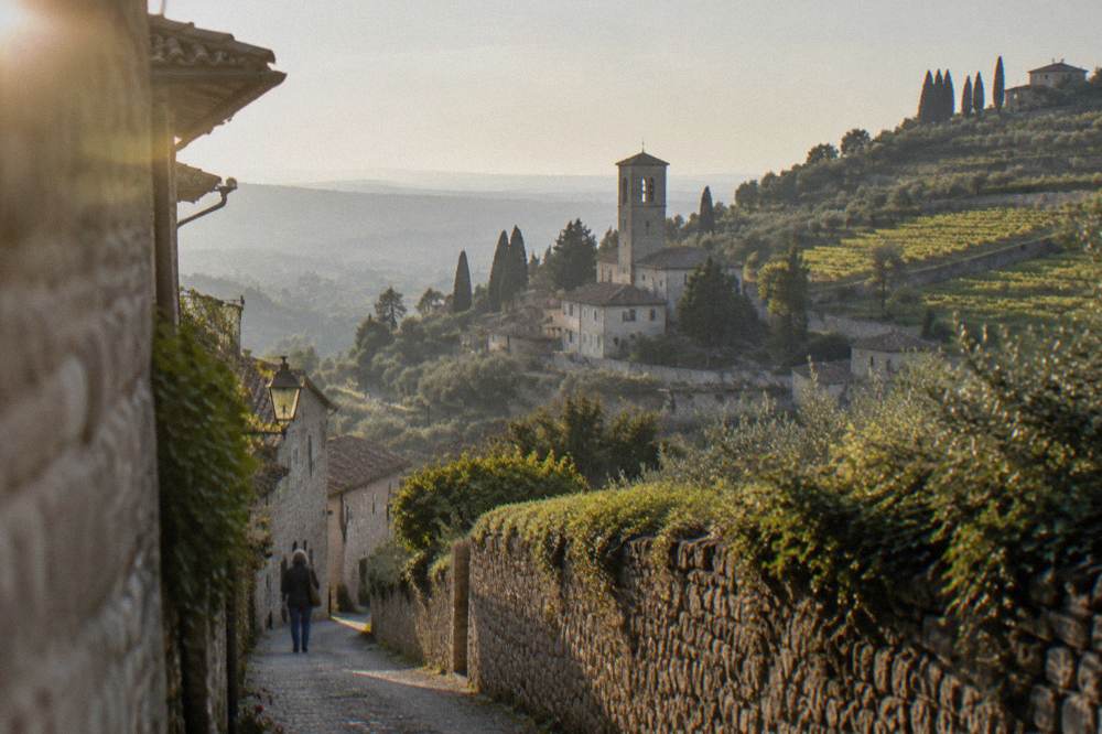Wine terraces on a hillside in the Euganean Hills outside Padua with cypress trees along a ridge