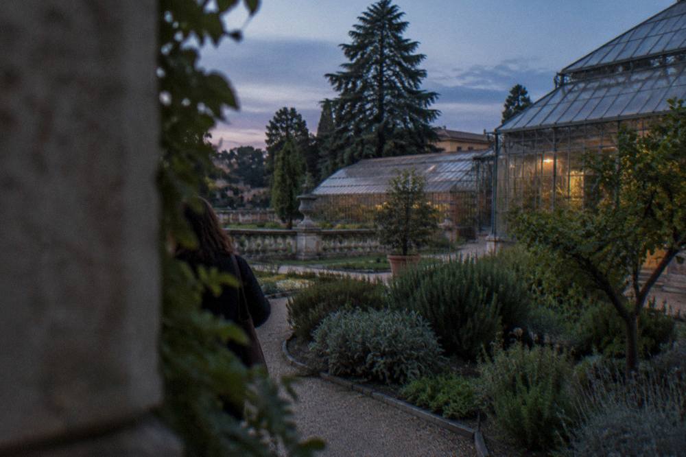 Greenhouse and planted beds inside the Padua botanical garden