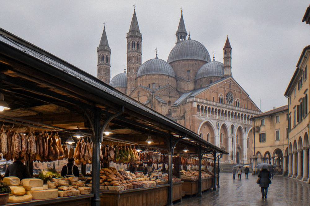 Covered food market hall with counters of cheese, bread and cured meat
