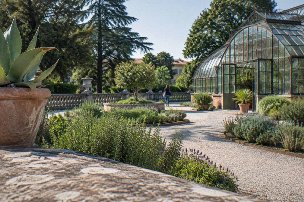Garden paths and historic greenhouse at the Padua botanical garden
