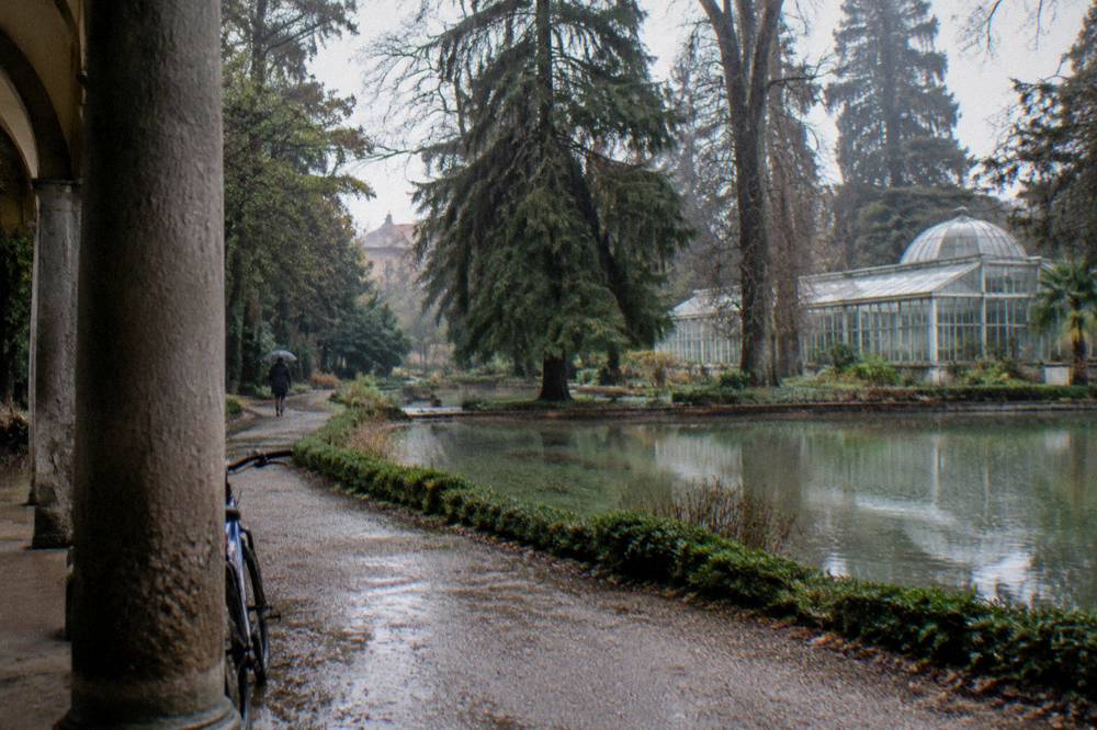 A botanic garden path with a pond, tall trees and a greenhouse in Padua