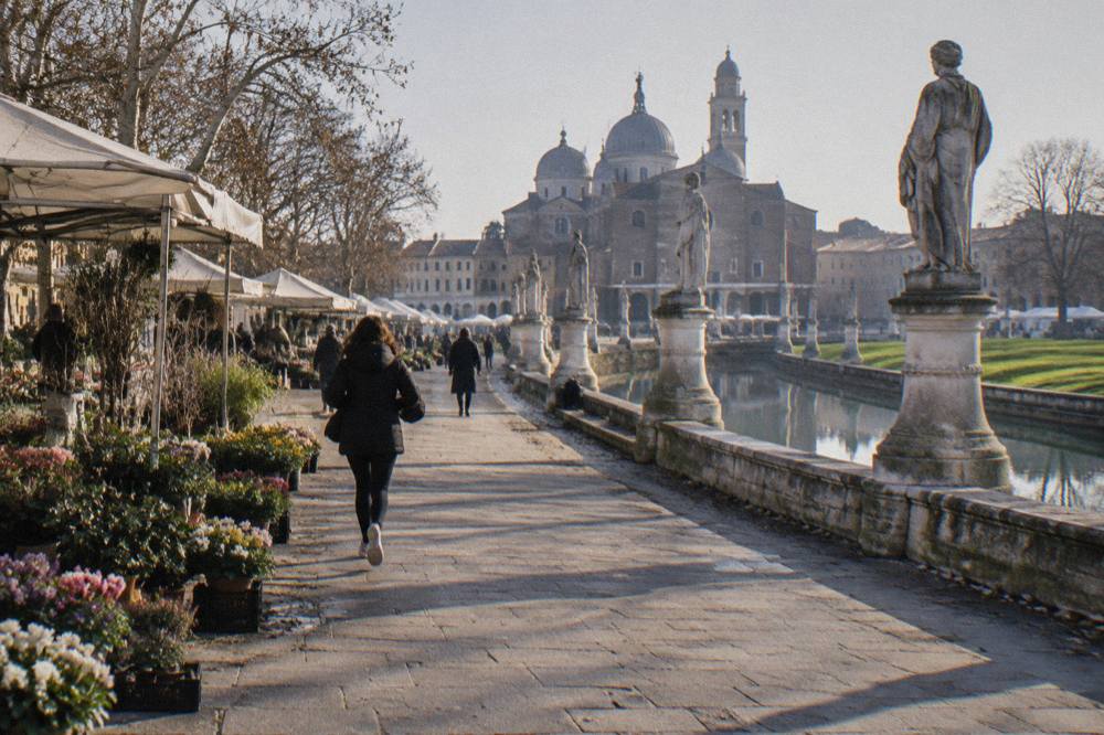 Flower and plant stalls at the Saturday market around Prato della Valle